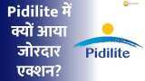Why did strong action come in Pidilite Industries? JP Morgan double upgrades the stock