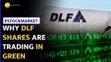 DLF Stock Soars on Strong Q3 Results | Stock Market News