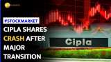 Cipla Shares Slip as Executive Vice-Chair Steps Down | Stock Market News