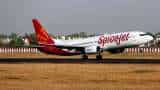 SpiceJet shares surge as company plans upgradation of fleet 