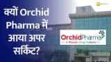 Orchid Pharma: Understanding Today&#039;s Surge &amp; Which Agency Granted Drug Approval?