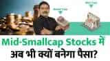 Will there still be a rise in Midcap-Smallcap? Why the Bull Run Continues Explains Anil Singhvi