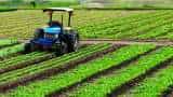 Agri shares trade mixed bag after Nirmala Sitharaman's Interim Budget 2024 speech; this stock hits a 52-week high Agri shares trade mixed bag after Nirmala Sitharaman's Interim Budget 2024 speech; this stock hits a 52-week high