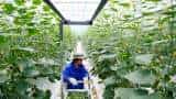 Incofin &amp; Fiedlin invest Rs 60 crore in Kashmir-based horticulture technology enterprise Qul Fruitwall