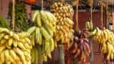 Russia buys bananas from India after Ecuador military hardware spat