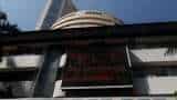 RBI MPC Meeting 2024: Rate-sensitive stocks decline after of RBI policy decision