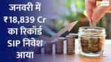 January SIP Investments Hit a Milestone: ₹18,839 Cr Record! January SIP Investments Hit a Milestone: ₹18,839 Cr Record!