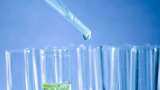 Ashoka Metcast may enter into chemical industry  
