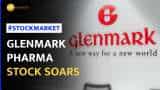 Glenmark Pharma Shares Rebound After Q3 Loss, Up 6% | Stock Market News