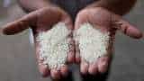 Govt hopes to sell 15 lakh tons each of 'Bharat' rice, atta in next 4-5 months