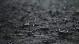 IMD predicts rain, hailstorms in some parts of Madhya Pradesh