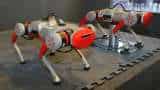 Assistive dogs to medical cobots: Robots set to redefine efficiency, safety, adaptability across industries