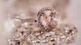 India&#039;s diamond exports may hit 5-year low in FY&#039;24 to $15-16 billion