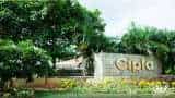 Pharma giant Cipla hits all-time high, stock surges over 70% in one year