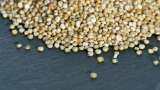 Shree Anna: Sarveshwar Foods takes forward Central Government’s initiative to promote millets