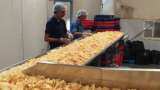 Prataap Snacks zooms over 16% after production begins at its Jammu and Kashmir unit