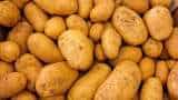 Potato prices in Bengal likely to ease to Rs 20-21/kg this week