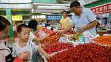 China&#039;s consumer prices gain for 2nd month, factory deflation persists