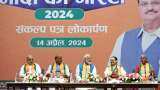 Lok Sabha Elections 2024: BJP manifesto promises to modernize fishery sector