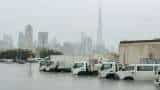Dubai Floods: 28 Indian flights cancelled after heavy rains and storm lash UAE city Dubai Floods: 28 Indian flights cancelled after heavy rains and storm lash UAE city