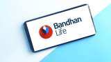 Bandhan Life charts out aggressive growth strategy 