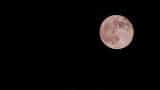 Full Pink Moon April 2024: What is a pink moon? When and where to see it in India?