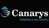 Canarys ventures across borders: Acquisition strategy unveiled for North American market
