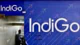 IndiGo sets up desk for passengers with special needs at Delhi airport