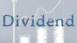 Dividend 2024: Standard Capital announces interim dividend - Check latest update regarding record date