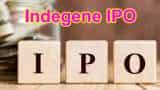 Indegene IPO allotment today: Check listing date and other details