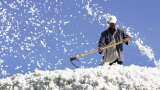 India&#039;s cotton exports may rise 27% to 28 lakh bales in 2023-24 season: CAI