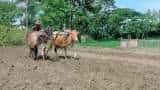Over 300% hike in India's budget outlay for agriculture in last 9 years: FAIFA report