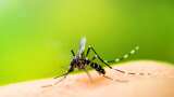 National Dengue Day 2024: How dengue fever is transmitted; know signs, symptoms and risks 