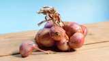 India exports over 45,000 tonnes onion after lifting ban 