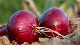 Centre plans big scale radiation processing of onions to prevent shortages