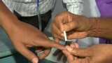 Lok Sabha Election Phase 6: Haryana records 55.93% turnout till 5 pm