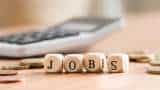 E-commerce, BFSI, hospitality sectors driving job market in 2024: Report E-commerce, BFSI, hospitality sectors driving job market in 2024: Report