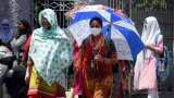Heatwave continues in Punjab, Haryana; Sirsa hottest at 49.1 degrees Celsius