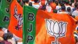 Lok Sabha Elections Results 2024: BJP leads in Chhattisgarh with 9 seats