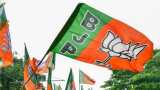 Lok Sabha Elections 2024: BJP extends lead to 21,996 votes in lone Lok Sabha seat in Andamans
