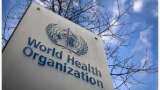 WHO calls for strengthening collaboration between health, environment sectors 