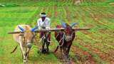 Rajasthan increases PM Kisan Samman Nidhi amount by Rs 2,000 