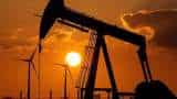 IEA's new outlook predicts era of abundant oil supply until 2030 for India
