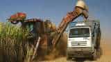 EID Perry, Shree Renuka Sugars, Balrampur Chini: Sugar stocks trade higher as sources say government is mulling MSP price rise EID Perry, Shree Renuka Sugars, Balrampur Chini: Sugar stocks trade higher as sources say government is mulling MSP price rise