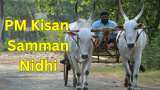 PM Kisan Samman Scheme 17th installment payment date confirmed but eligible farmer must ensure these things to receive Rs 2,000