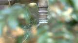 Himachal Pradesh: Water crisis hits Shimla, people count on traditional water sources Himachal Pradesh: Water crisis hits Shimla, people count on traditional water sources