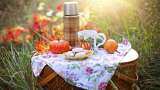 International Picnic Day: Know Date, significance, history and reason to celebrate alongwith wishes and quotes to share with friends