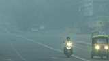 Air pollution claimed 8.1 million lives in 2021 globally, 2.1 million in India: Report