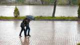 Maharashtra Weather Update: Heavy rain lashes Thane; tree fall incidents reported 