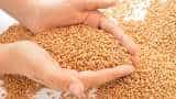 Centre imposes stockholding limit on wheat to check hoarding, ensure price stability 